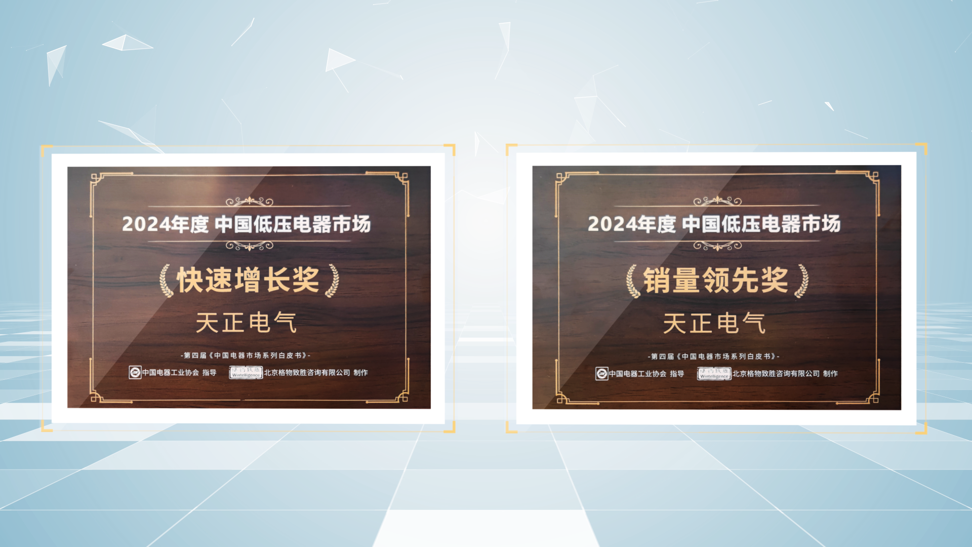 销量领先、快速增长丨pg电子试玩荣膺2项行业年度大奖