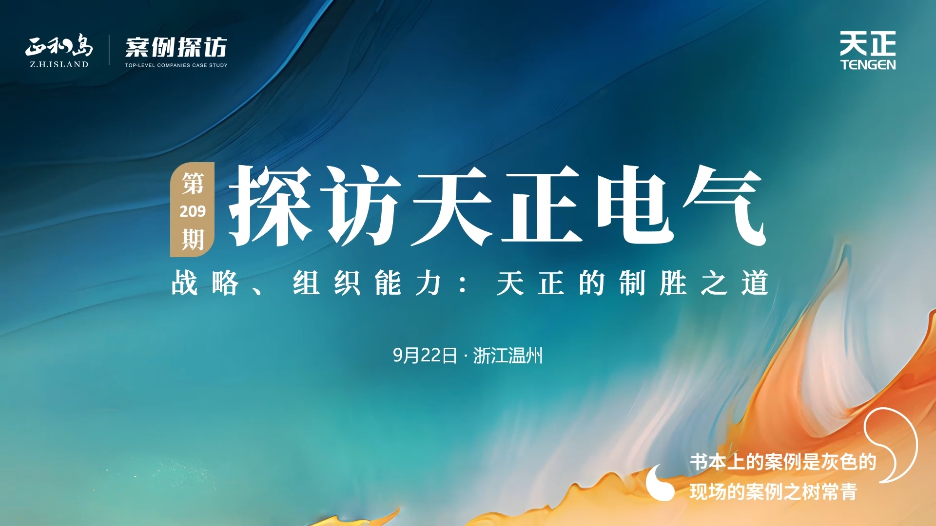 正和岛走进pg电子试玩，探访制胜之道